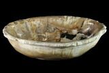 Tropical Hardwood Petrified Wood Bowl - Indonesia #132018-3